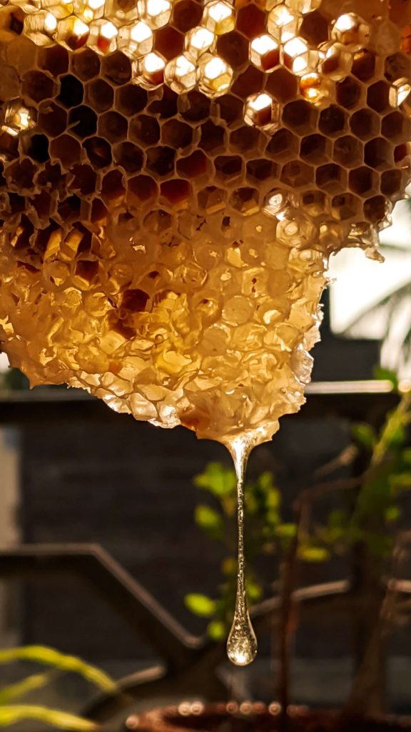 honey extract from honeycomb